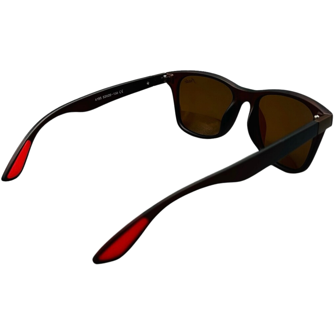 Gafas 4195C