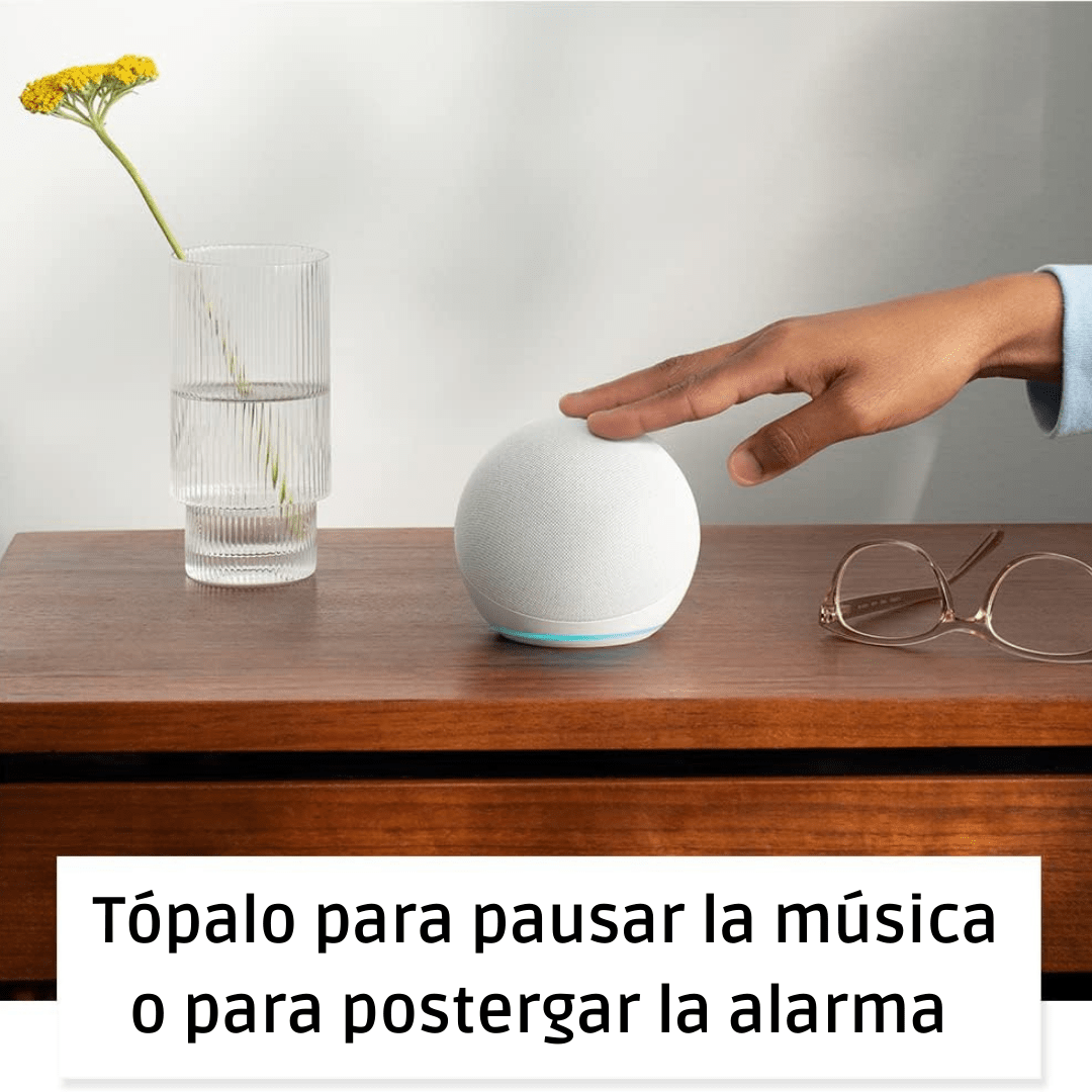 Echo Dot de 5ª Generación Charcoal - Fradostore