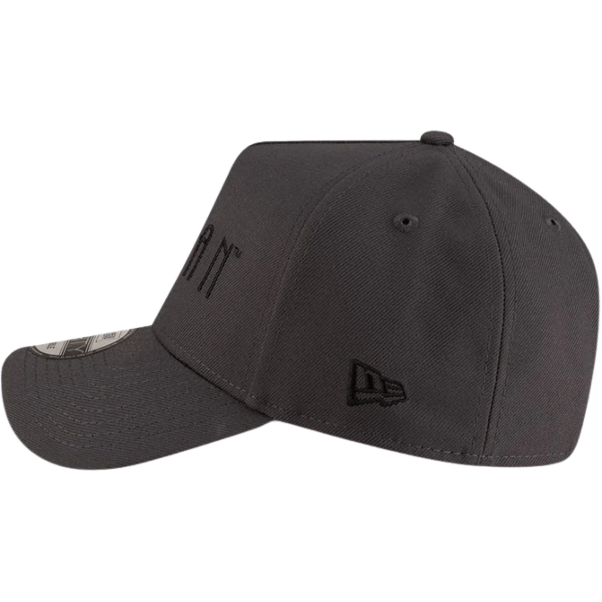 Gorra Batman 391 - Fradostore